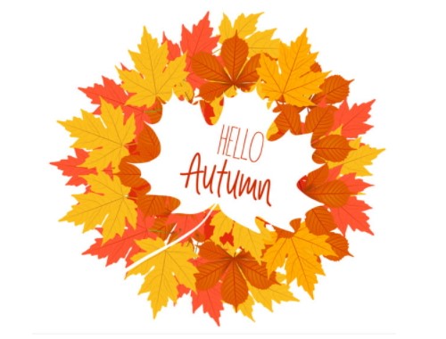 Осенняя распродажа