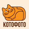 Магазин Котофото Магазин Котофото